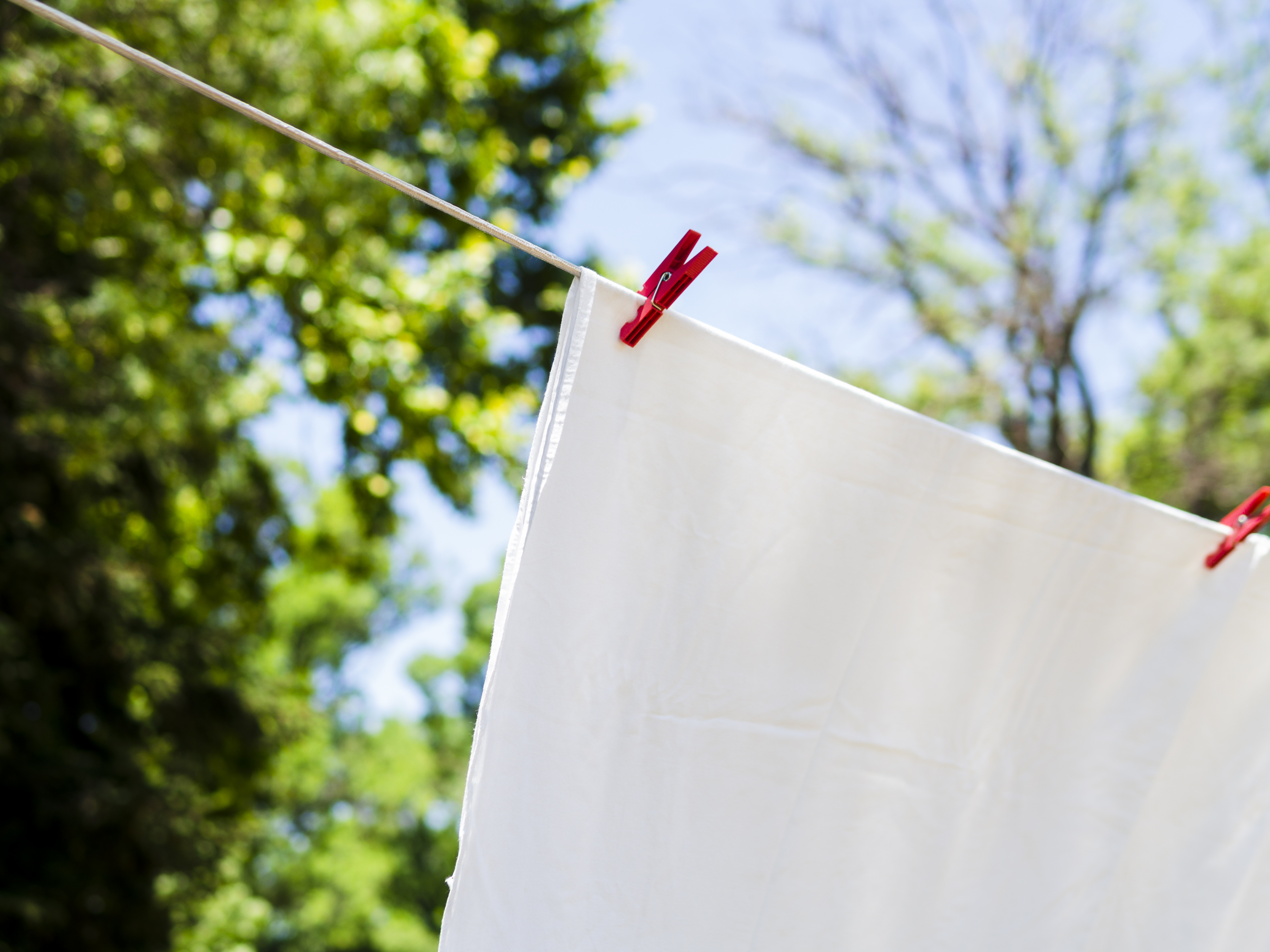 close-up-white-sheet-drying-line